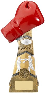 BOXING GLOVE TROPHY