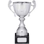 35cm SILVER CUP TROPHY WITH HANDLES