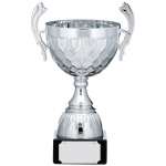 SILVER CUP TROPHY WITH HANDLES