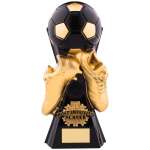 Most Improved Player Trophy