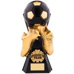 Player of the Year Trophy