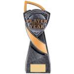PLAYER OF THE YEAR TROPHY